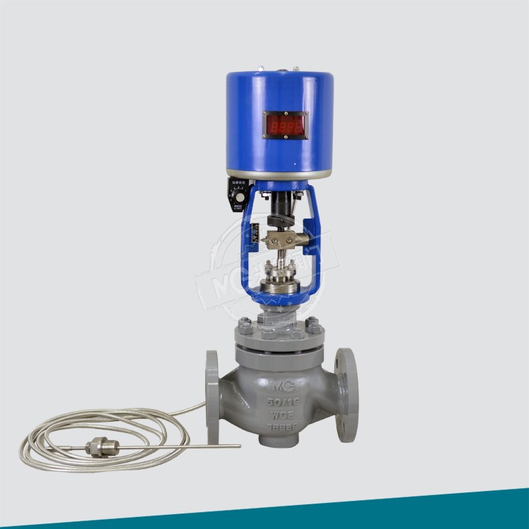 電動(dòng)溫控調(diào)節(jié)閥（帶傳感器）